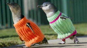 penguin sweater