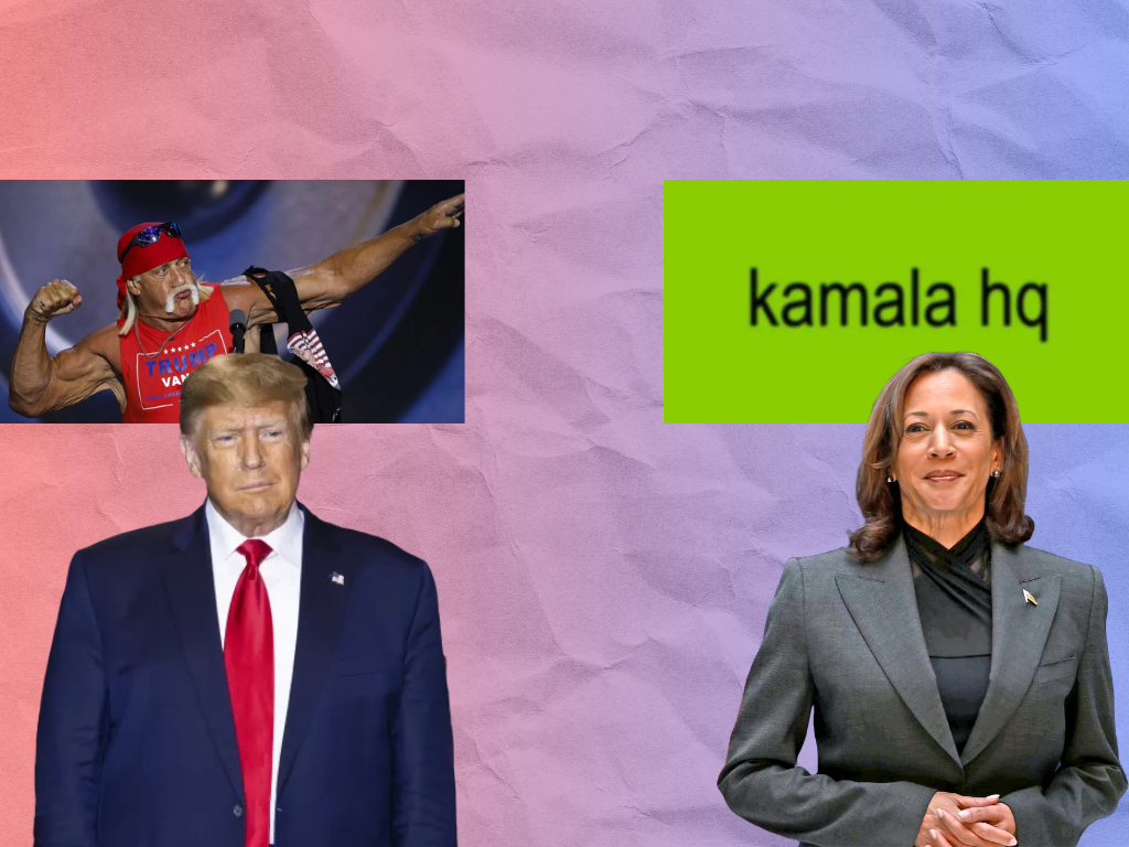 Former president, Donald Trump, and current Vice President, Kamala Harris, both have different approaches to garnering young voters in the upcoming election.