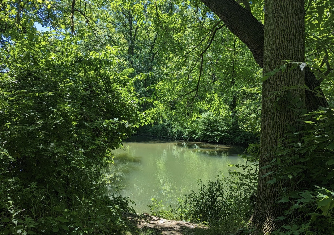 The Very First Earth Day
